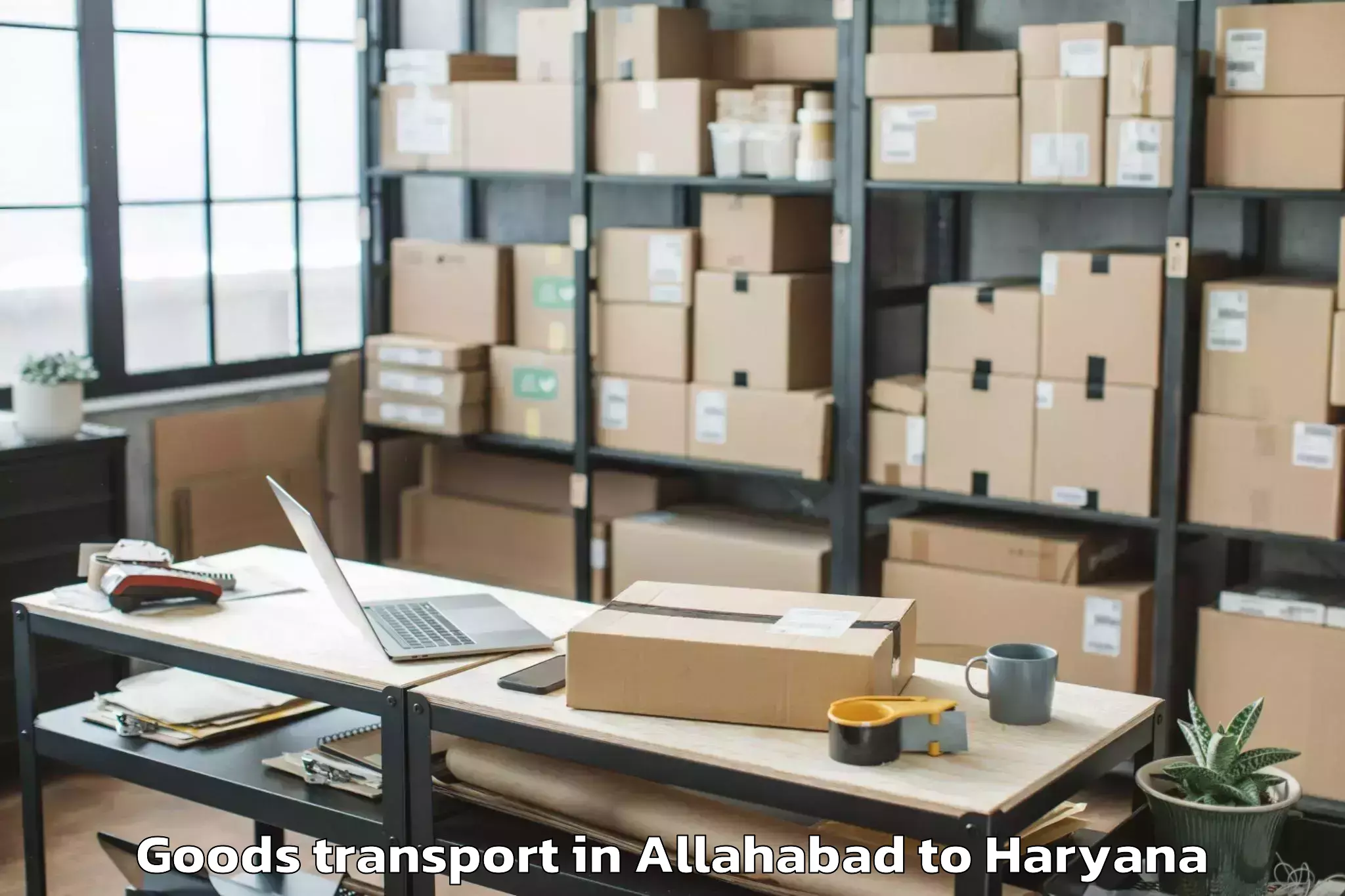 Quality Allahabad to Pristine Mall Faridabad Goods Transport